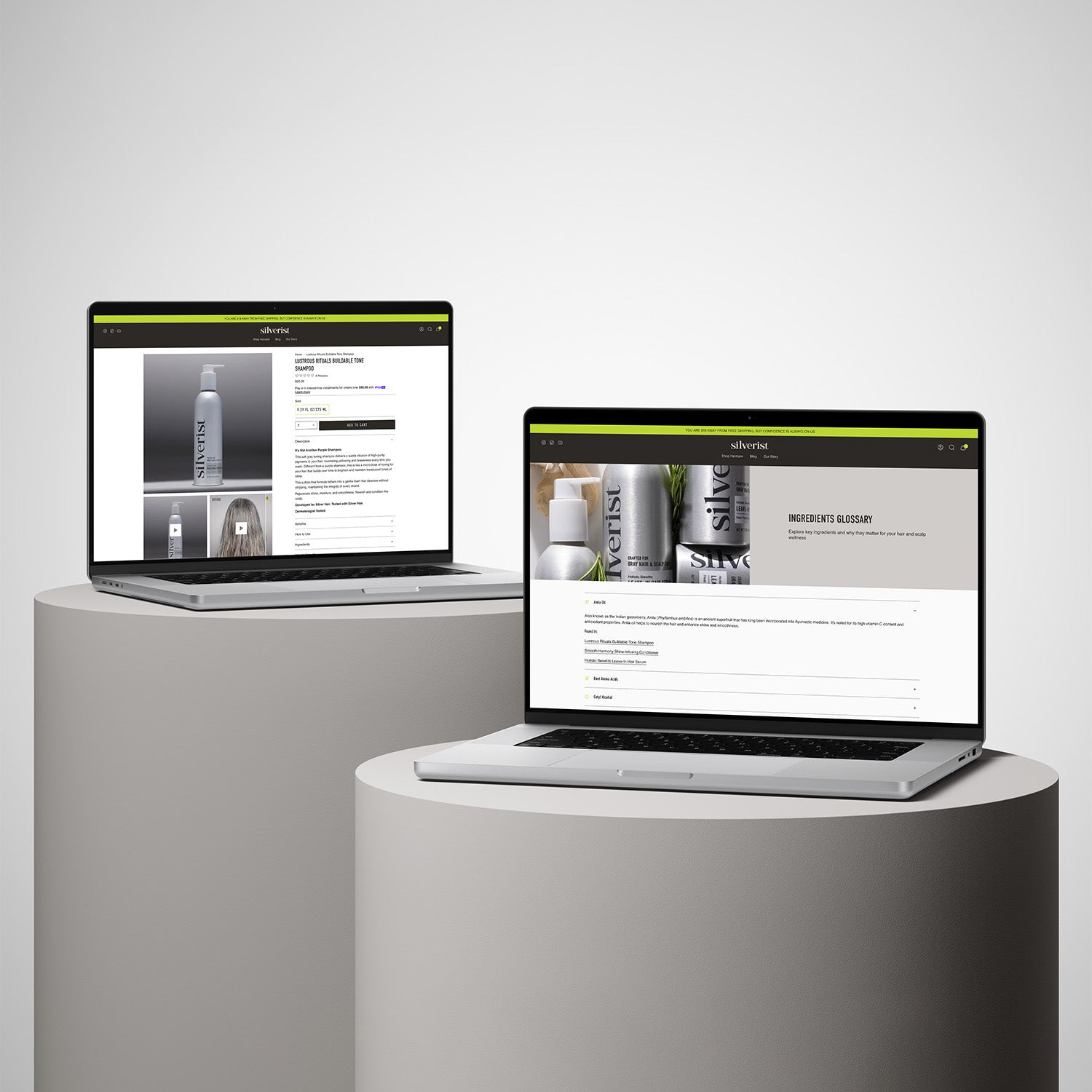 Silverist Ingredients Glossary and PDP